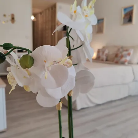 Capouchine Parking Et Balcon Proche Centre Апартаменты Ним