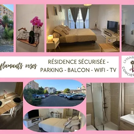 Апартаменты Capouchine Parking Et Balcon Proche Centre *