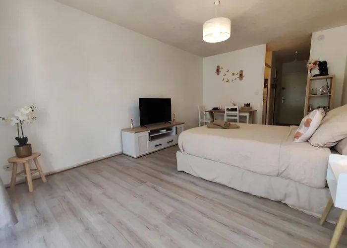 Capouchine Parking Et Balcon Proche Centre דירה נים