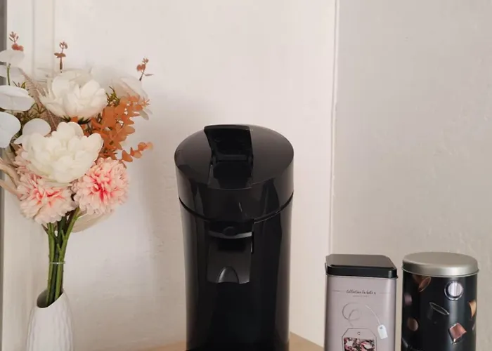 דירה Capouchine Parking Et Balcon Proche Centre *